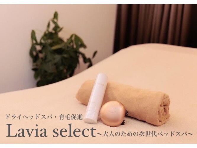 ドライヘッドスパ育毛促進Laviaselect